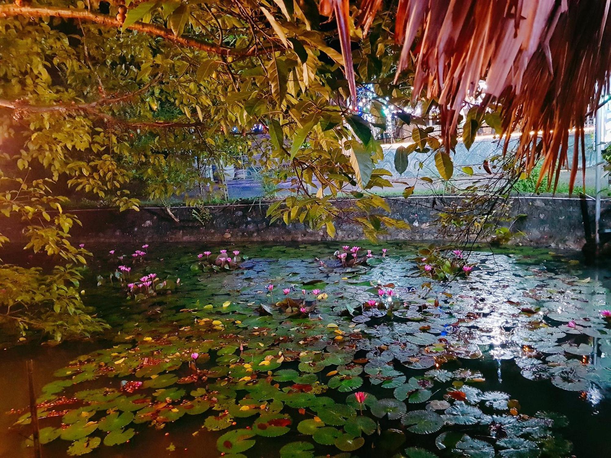 Quoc Khanh Bamboo Homestay نينه بينه المظهر الخارجي الصورة