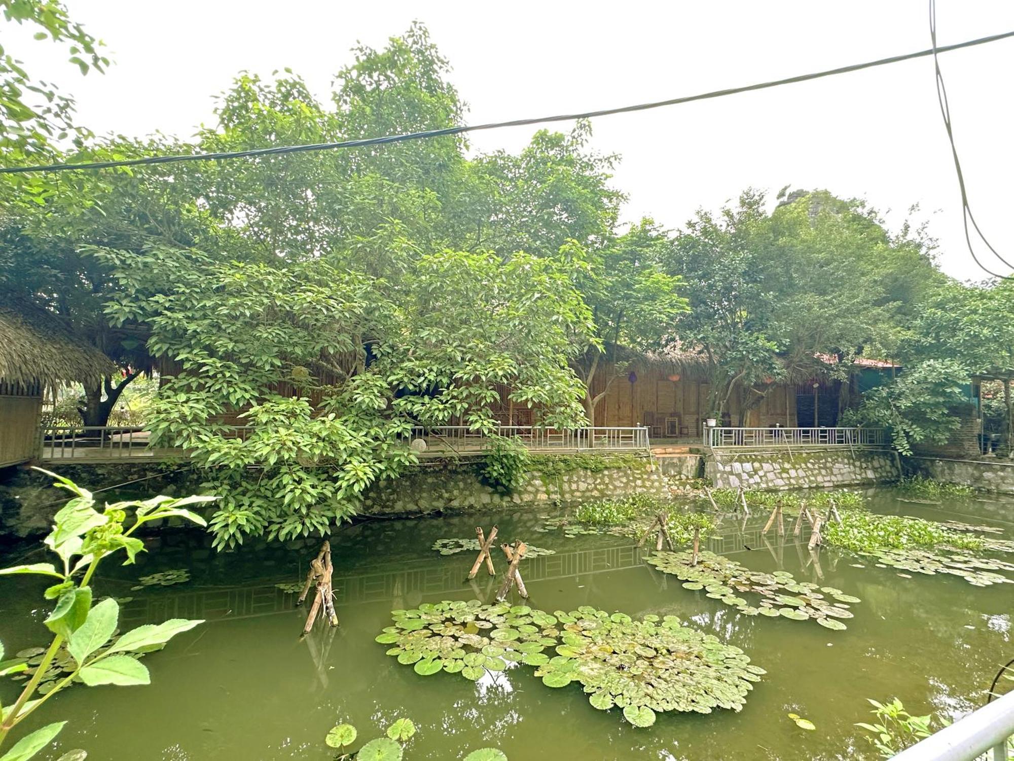 Quoc Khanh Bamboo Homestay نينه بينه المظهر الخارجي الصورة