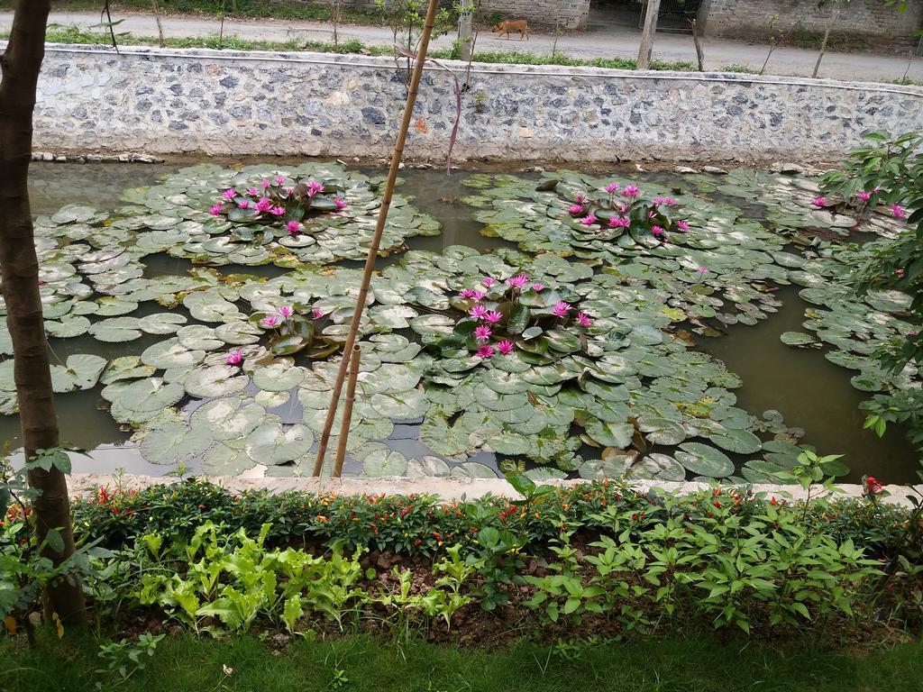 Quoc Khanh Bamboo Homestay نينه بينه المظهر الخارجي الصورة